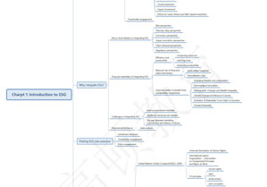 ESG Framework Diagram